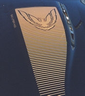 Image of 1983 - 1984 Trans Am Hood Scoop LOUVERED STYLE HOOD BIRD Decal