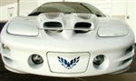 Image of 1998 - 2002 Firebird Trans Am Front License Plate Cover Decal