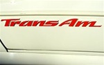 Image of 1993 - 2002 Trans Am Door Decal, Color Choice, Each