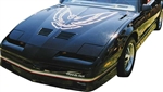 Image of 1985 - 1986 Trans Am Front Bumper Name Decal