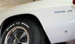 Image of 1969 - 1972 "Trans Am" Fender Decal, Color Choice, 493355 or 493354 EACH