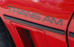 Image of 1982 - 1986 Trans Am Front Fender Decal, Each