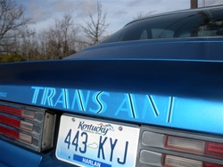 Image of 1973 - 1978 Trans Am Rear Spoiler Decal, Die Cut