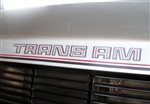Image of 1979 Trans Am 10th Anniversary Rear Spoiler Center Decal
