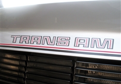 Image of 1979 Trans Am 10th Anniversary Rear Spoiler Center Decal