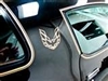 Image of 1976 - 1978 Trans Am Sail Quarter Panel "Bird" German Special Edition, Each