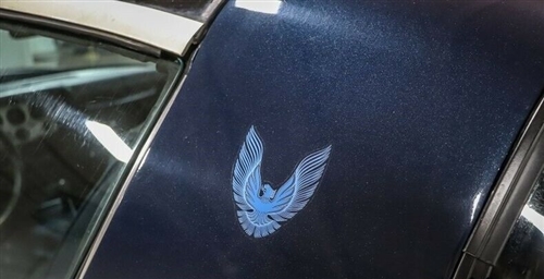 Firebird Central | 1981 Firebird Formula and Trans Am Quarter Sail