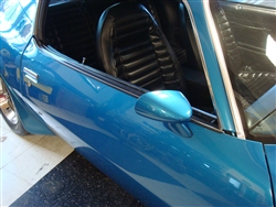 Firebird Central | 1970 - 1981 Firebird Outer Window Felts with Round Bead,  OEM Style, Buy Yours Today!