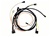 Image of 1969 Firebird Engine Wiring Harness, V8 with Automatic Transmission and External Regulator