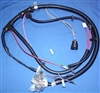 Image of 1981 Firebird Engine Wiring Harness, 265 or 301 NON-TURBO V8 Pontiac Motors without Factory Tach and Gauges Option