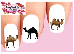 Camel Assorted Set of 20 Waterslide Nail Decals