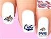 Montana State Bobcats Assorted Set of 20 Waterslide Nail Decals