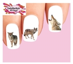 Coyote Assorted Set of 20 Waterslide Nail Decals