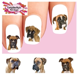 Boxer Assorted Set of 20 Waterslide Nail Decals