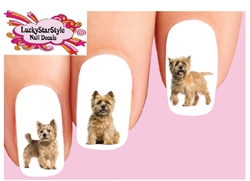 Cairn Terrier Wheaten Assorted Set of 20 Waterslide Nail Decals