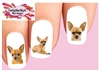 Tan Chihuahua Assorted Set of 20 Waterslide Nail Decals