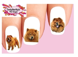 Chow Chow Red Assorted Set of 20 Waterslide Nail Decals