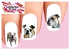 English Bulldog Assorted Set of 20 Waterslide Nail Decals