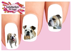 English Bulldog Assorted Set of 20 Waterslide Nail Decals