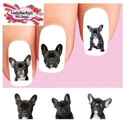 Black French Bulldog Set of 20 Waterslide Nail Decals