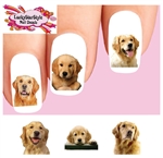 Golden Retriever Assorted Set of 20 Waterslide Nail Decals