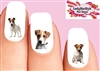 Jack Russell Assorted Set of 20 Waterslide Nail Decals