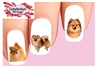 Pomeranian Assorted Set of 20 Waterslide Nail Decals