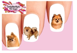 Pomeranian Assorted Set of 20 Waterslide Nail Decals