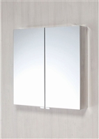 Double Door Stainless Steel Cabinet