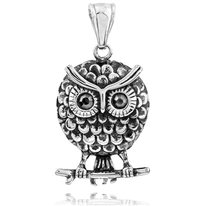 Stainless Steel Pendant With Black Onyx - Owl