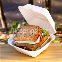 Compostable Bagasse Clamshell 6" x 6" x 3"