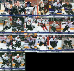 Forth Worth Brahmas Team Set