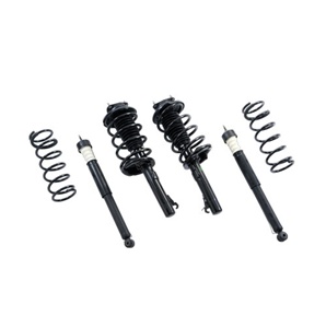 FORD RACING 2000-2005 FOCUS SUSPENSION KIT -- M-3000-ZX3A