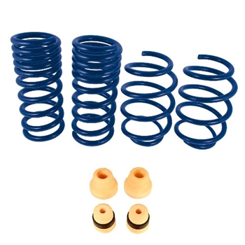 2015-2021 MUSTANG TRACK LOWERING SPRINGS  -- M-5300-YA