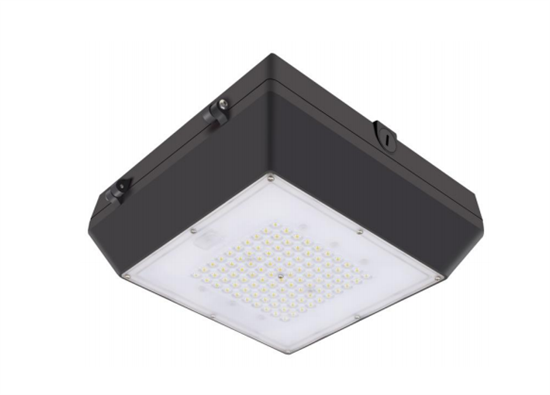 LED Lighting Wholesale Inc. Gen. 6 LED Canopy Lights, 20 Watt- View Product