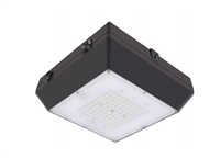LED Lighting Wholesale Inc. Gen. 6 LED Canopy Lights, 80 Watt- View Product