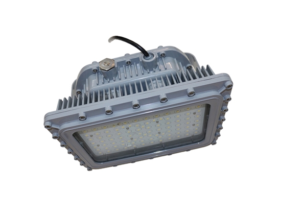 EVE/James Hazardous Location LED, D Series, 100 Watt- View Product