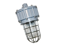 EVE/James Hazardous Location LED, G Series, 30 Watt- View Product