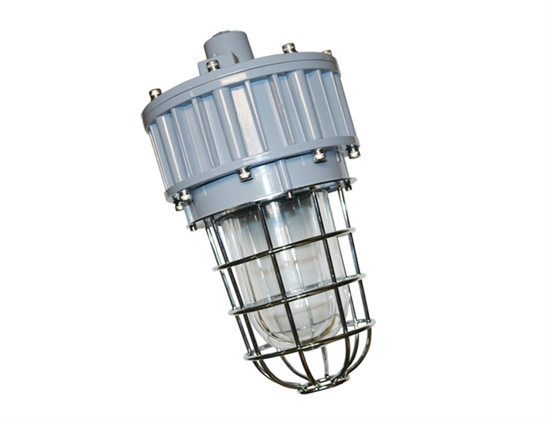 EVE/James Hazardous Location LED, G Series, 30 Watt- View Product