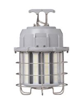 Light Efficient Design Work Site Area Luminaire, 100 Watt, 10 Foot Power Cord Included, 6kV Surge Protection-View Product