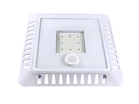 LED Lighting Wholesale Inc. Gas Station Canopy Light, 95 Watt- View Product