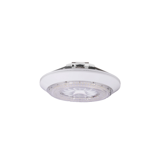 WIS LED Lighting Wholesale Inc. Up/Down Gas Station Canopy Light, 70 Watt, Dimmable- View Product