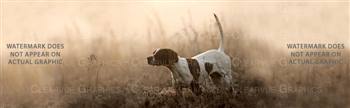 Pointer Morning Dog Rear Window Graphic