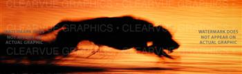 Surreal Dog Rear Window Graphic
