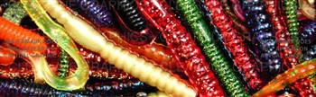 Rubber Rainbow Fishing Rear Window Graphic