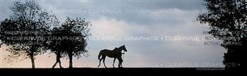 Sunset Horse Rear Window Graphic