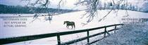 Winter Graze Horse Rear Window Graphic