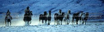 Winter Roundup Horse Rear Window Graphic