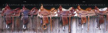 Six Saddles Horse Rear Window Graphic