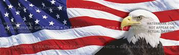 US Flag 2 with Eagle Patriotic Rear Window Graphic